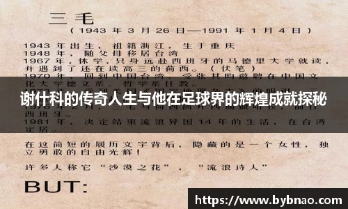 谢什科的传奇人生与他在足球界的辉煌成就探秘