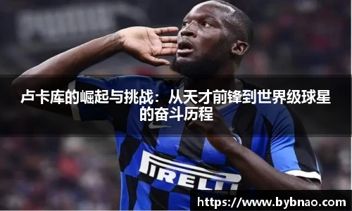BB贝博艾弗森体育